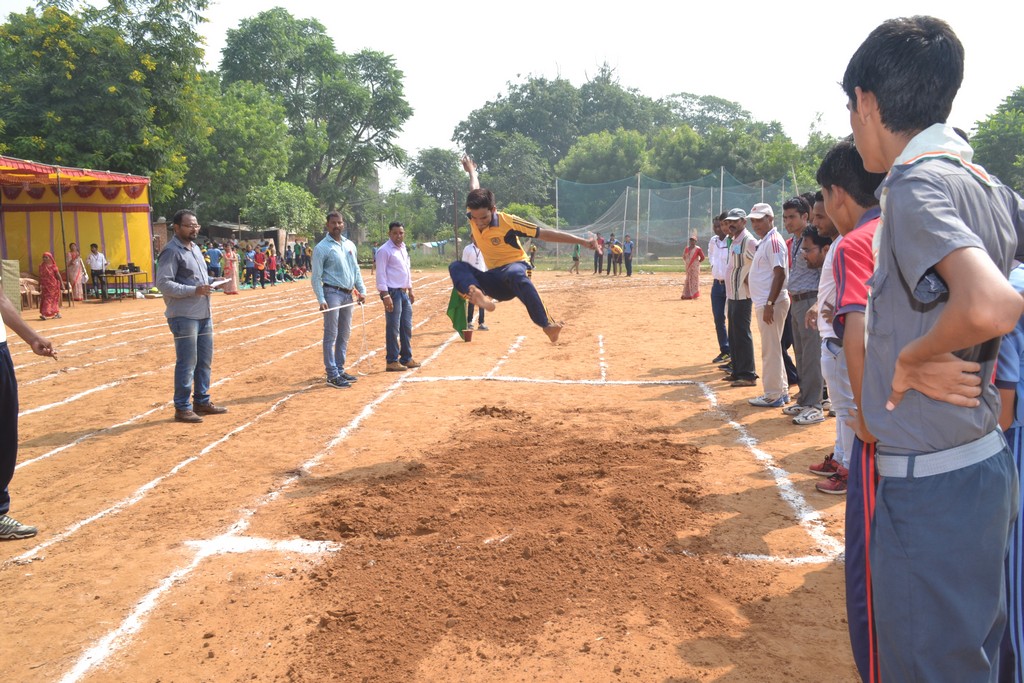 veena school karauli